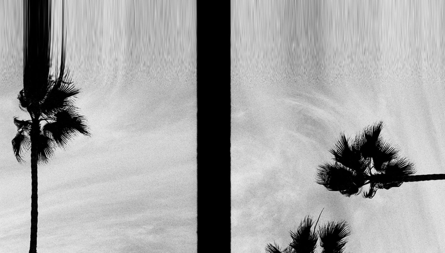 A black and white photograph shows silhouetted palm trees against a cloudy sky, separated by a central black vertical bar, with digital distortion at the top.