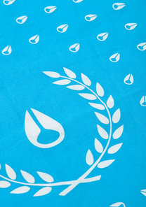 Bandana Victor - Verde acqua View 2